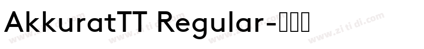 AkkuratTT Regular字体转换